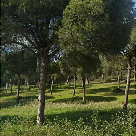 Adosado Frente A Hoyo 14 Campo De Golf Nuevo Portil El Portil